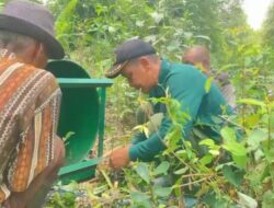 BKSDA Resort Sampit Pasang Dua Perangkap Beruang Sekaligus, Ini Maksudnya