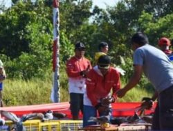 Lomba Merpati Kolong Tingkat Nasional di Barut Diikuti 26 Tim Dari Seluruh Indonesia
