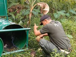BKSDA Resort Sampit Pasang Perangkap Beruang di Kawasan Pemukiman Warga