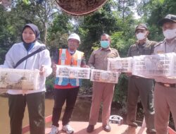 BKSDA, Karantina Pelabuhan dan Pelindo Sampit Lepasliarkan 54 Jenis Burung di Mentaya Seberang