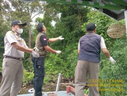 Lima Burung Cucak Hijau Gagal Diselundupkan Penumpang Kapal Laut di Pelabuhan Sampit