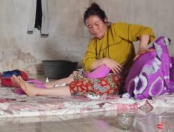 “Tangis di Tepi Sungai: Perjuangan Sari Melawan Maut dari Rahang Buaya Ganas”