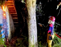 Kebakaran Rumah di Jalan Brigjen Katamso Berhasil di Padamkan