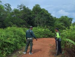 Warga Desa Kandan Resah Saat 3 Orangutan Rusak Kebun, BKSDA Sampit Turun ke Lokasi