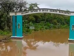 Banjir Besar Kalteng: Akibat Curah Hujan Tinggi atau Krisis Deforestasi?
