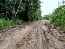 Penanganan Darurat Kerusakan Jalan Simpang 30, Ini Kata Kadis PUPR