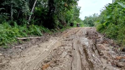 Penanganan Darurat Kerusakan Jalan Simpang 30, Ini Kata Kadis PUPR