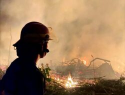 BPBD dan Damkarmat Barut Lakukan Pemadaman Karhutla di Jalan Rapen