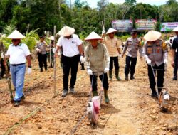 Pj Bupati Ajak Warga Sukseskan Program Ketahanan Pangan Lewat Tanam Jagung di PT MPG