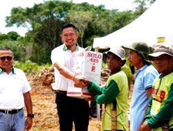 PT MPG Tanam Jagung di Lahan 5,7 Hektar, Dukung Ketahanan Pangan Indonesia