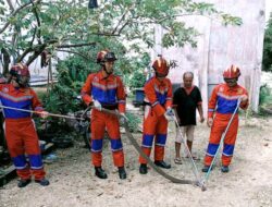 Masuk Pekarangan Warga, Ular king Cobra di Evakuasi Disdamkarmat Barut