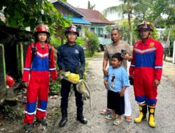 Disdamkarmat Barito Utara Evakuasi Monyet Yang Dibuang di Tempat Sampah