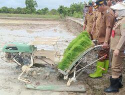 Program 100 Hari Barsel: Wabup Khristianto Luncurkan Penanaman Padi Inbrida