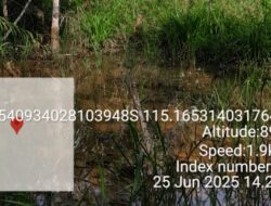 DKPP Barsel Laporkan Gangguan Tanam Tumbuh Akibat Lumpur di Kawasan Pertanian