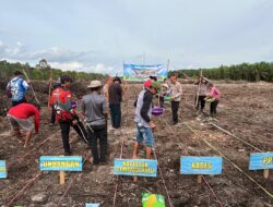 Dukung Program Ketahanan Pangan, Polsek Cempaga Hulu Gandeng Kelompok Tani Tanam Jagung
