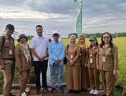 PT Pupuk Indonesia Gelar Demplot Pemupukan Padi di Pulang Pisau untuk Tingkatkan Produktivitas OPLA