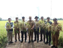 Pemprov Kalteng Siapkan SDM Pertanian Modern dan Hilirisasi Jagung