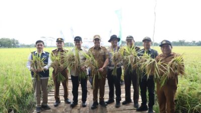 Pemprov Kalteng Siapkan SDM Pertanian Modern dan Hilirisasi Jagung