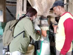 OKKPD Provinsi Kalimantan Tengah Laksanakan Pengawasan dan Pengambilan Sampel PSAT di Penggilingan Padi Pulang Pisau